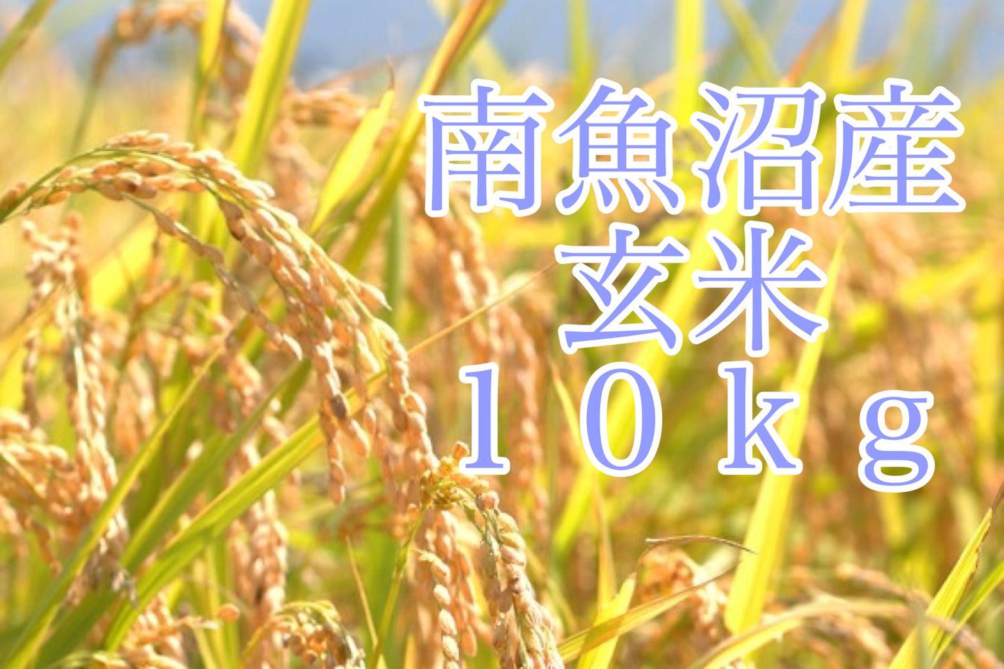 南魚沼産コシヒカリ【玄米】10kg